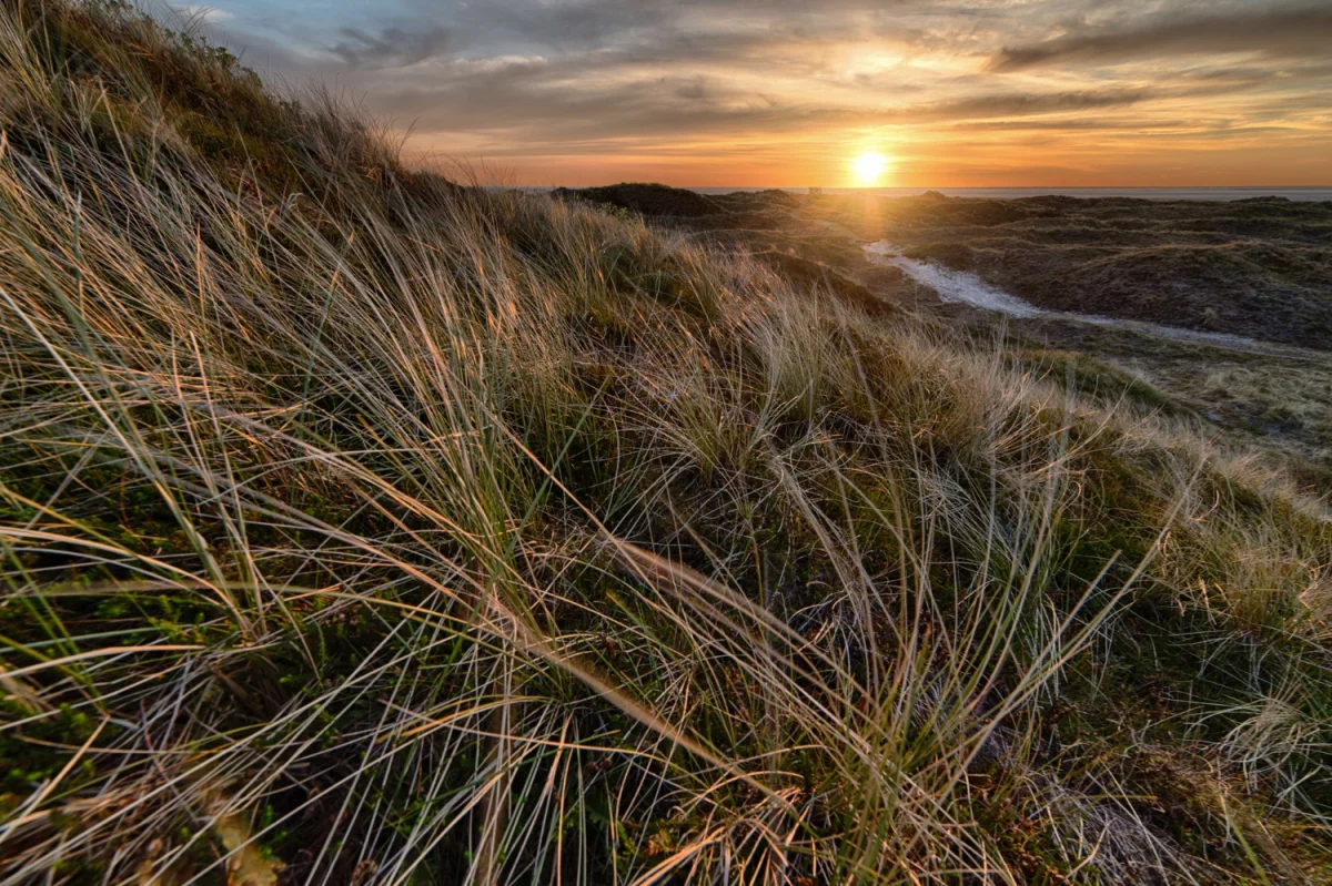 Krótko o transformatorach